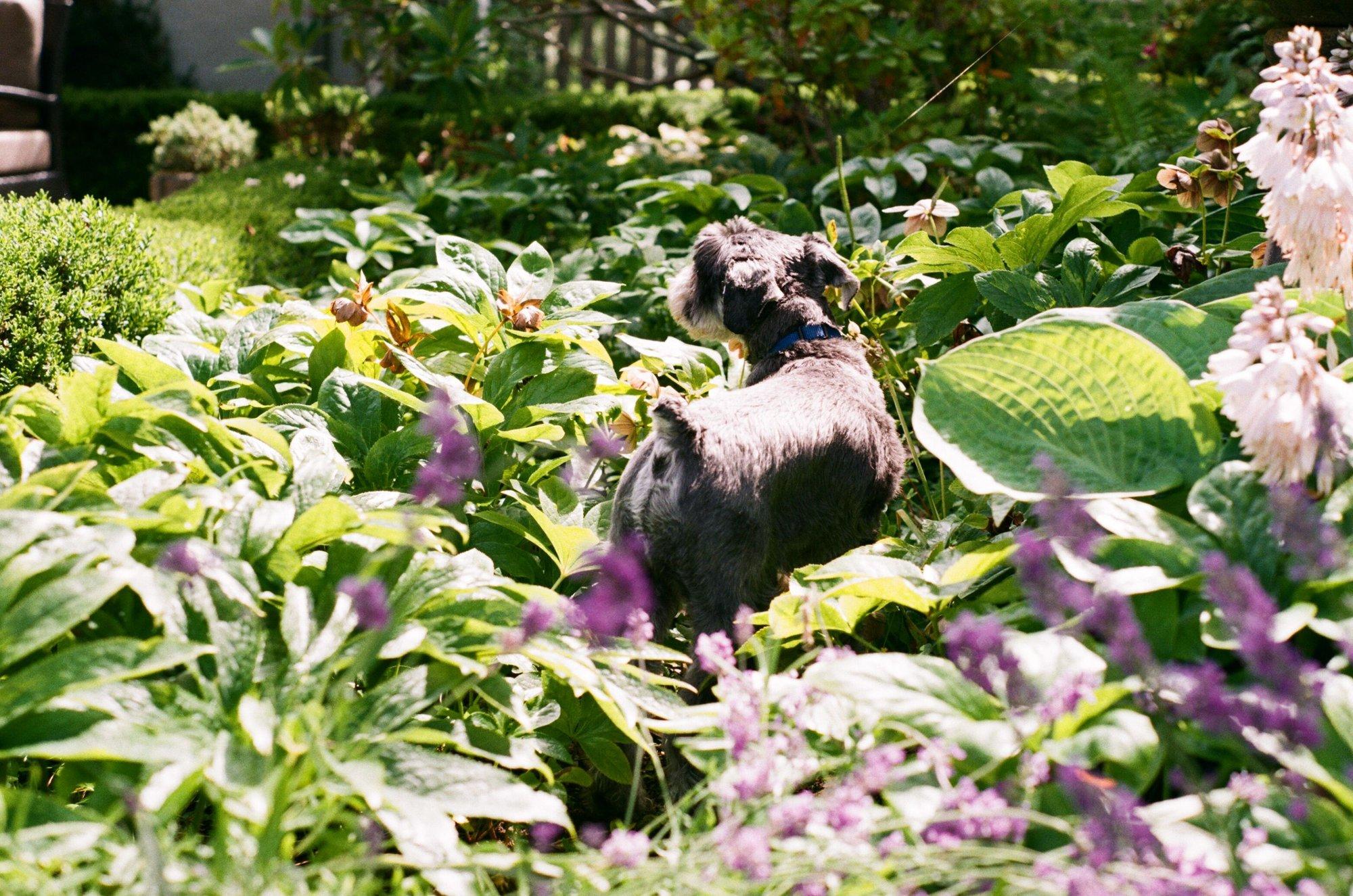 carousel-hero-element image-0