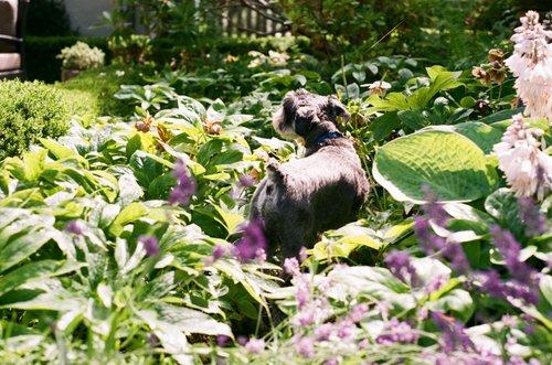 carousel-hero-element image-0